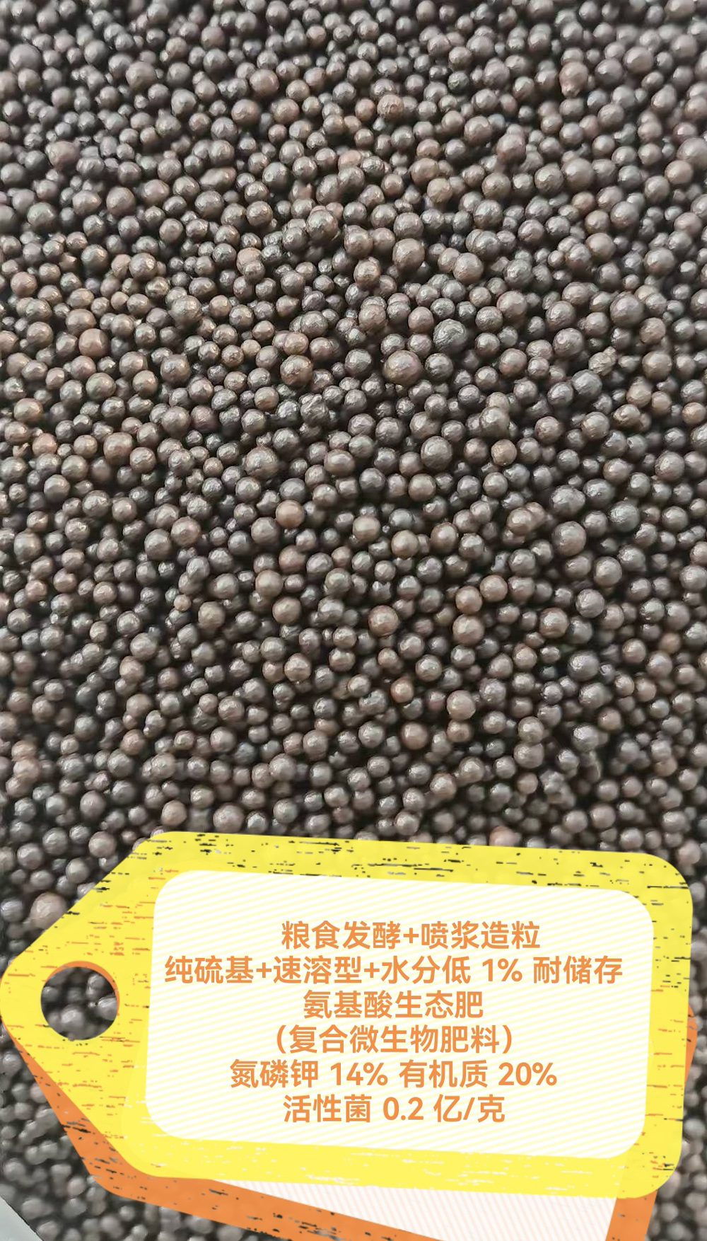 微信图片_20261016090036_51_300.jpg